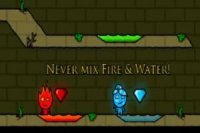 Great Temple of the Forest of Fire Boy and Water Girl