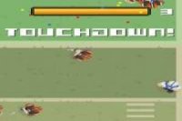 Rugby: Touchdown Pro