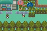 Pokémon: Emerald Extreme Randomizer Game