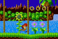 Sally Acorn in Sonic the Hedgehog Online